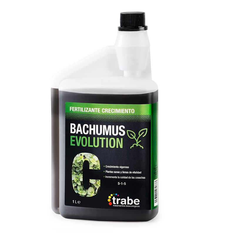 Bachumus Evolution C