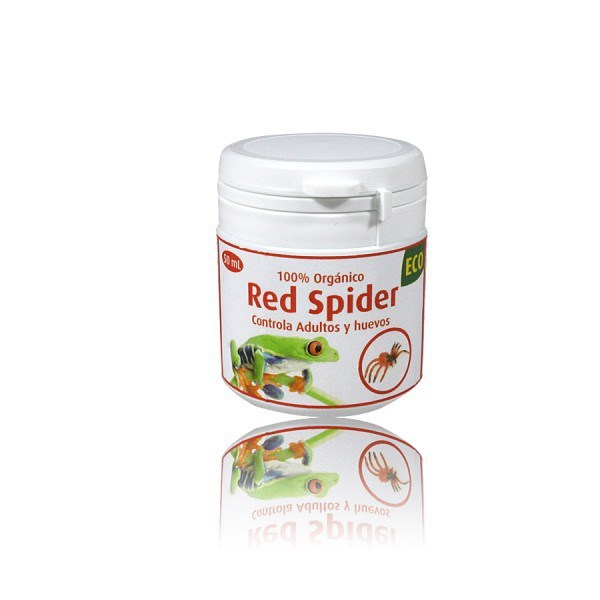 red-spider-01